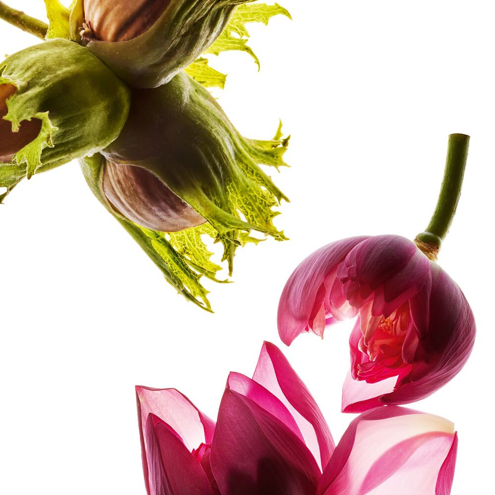 Lotus Purifying Face Treatment Oil for Oily Skin